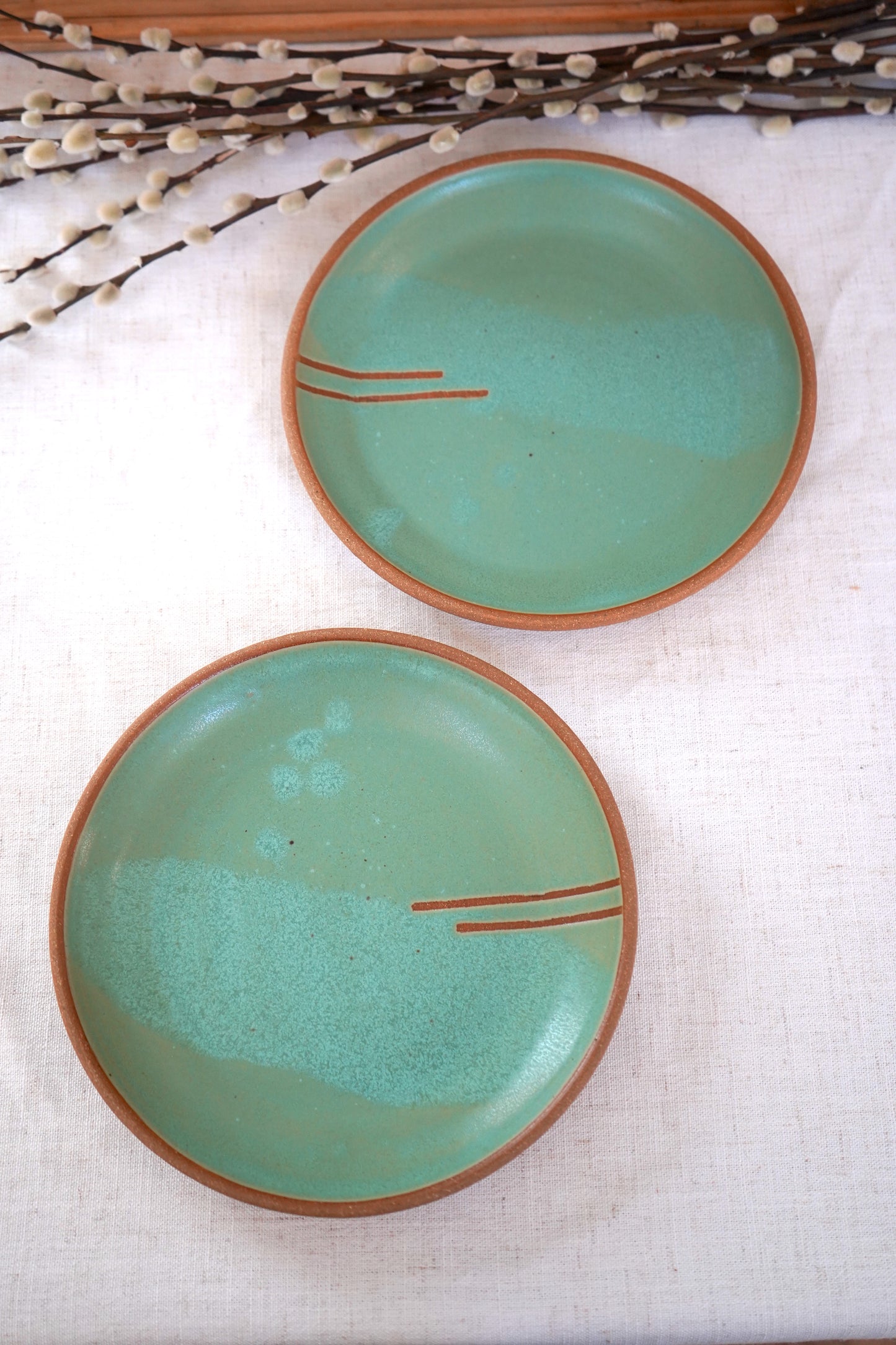 Set of two dinner plates