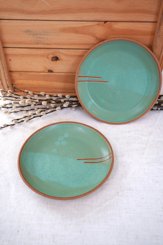 Set of two dinner plates