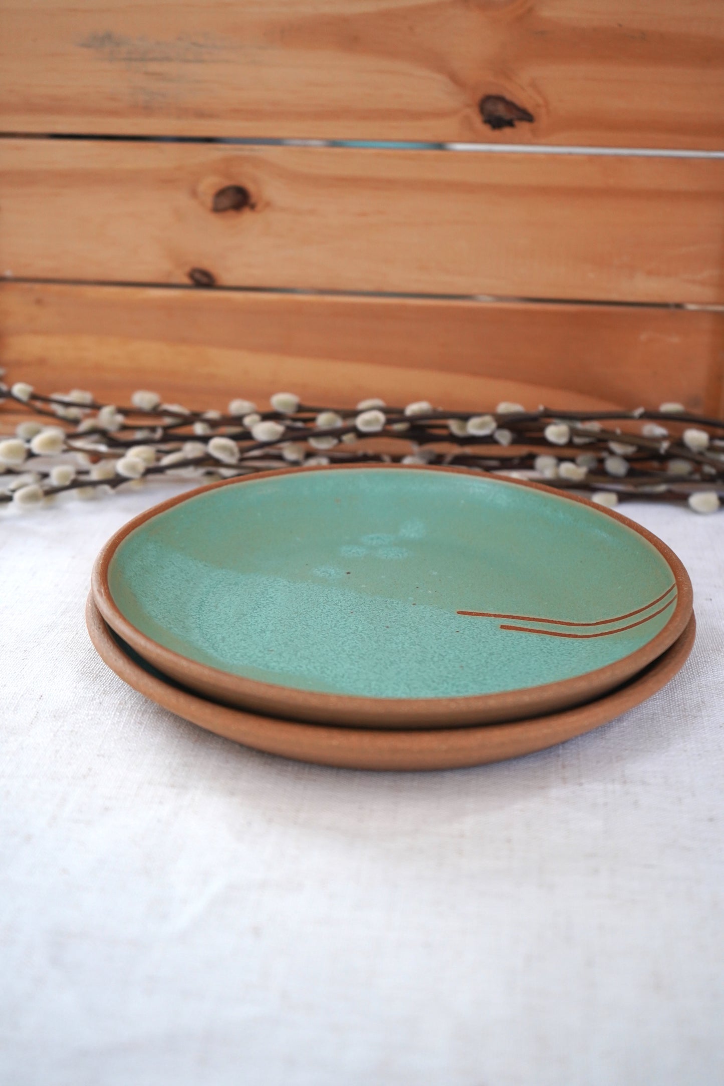 Set of two dinner plates
