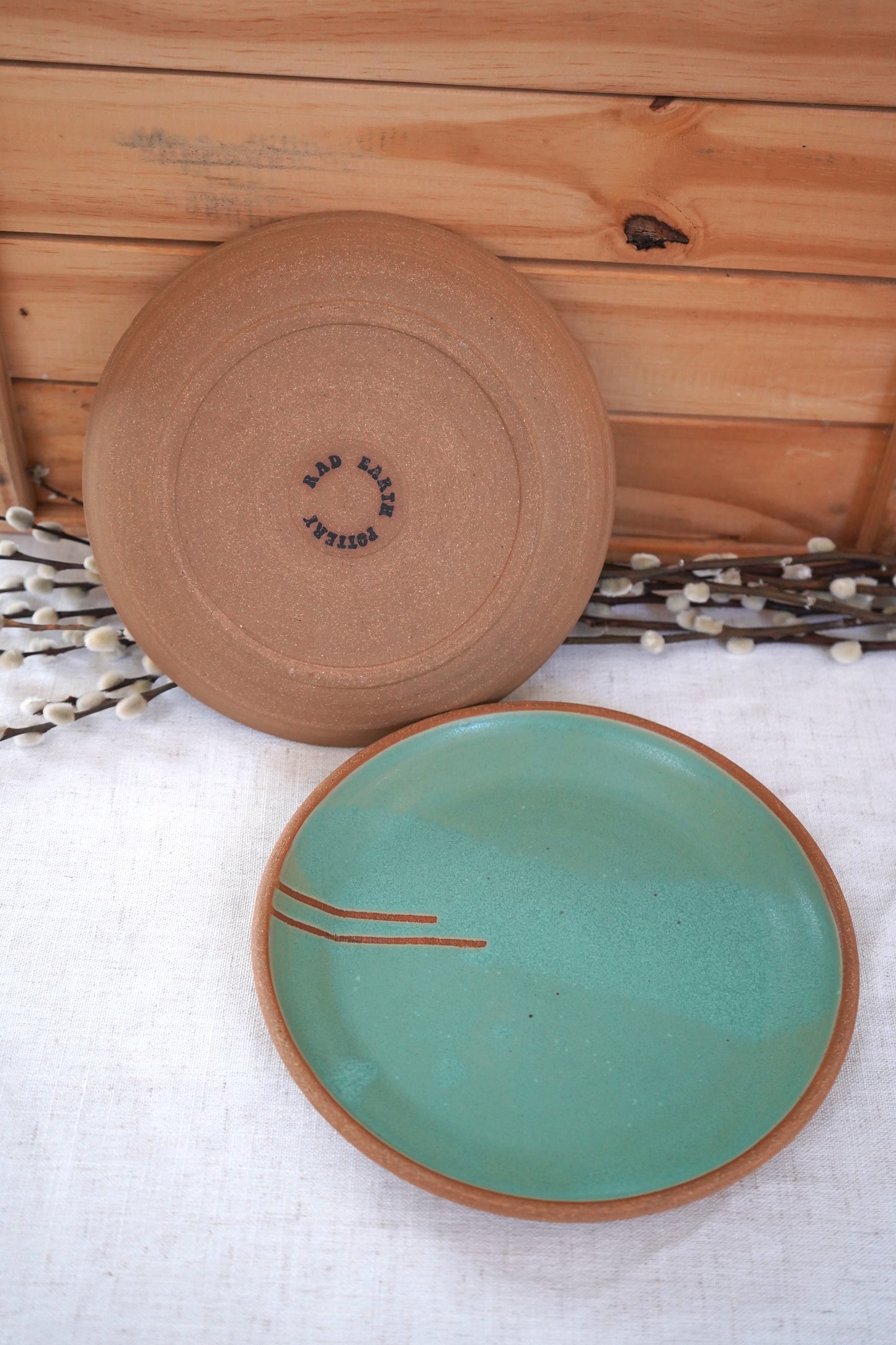 Set of two dinner plates